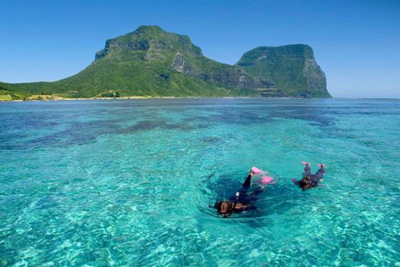 Snorkeling-at-Neds-Beach-Lord-Howe-Island - Illawarra Ramblers