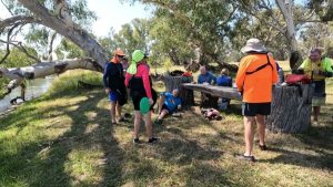 Albury to Yarrawonga