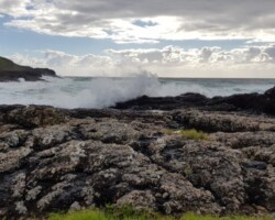 Walk along clifftops from Loves Bay Kiama to Werri Beach and return.
Spectacular views along grassy track, Some ups and downs.