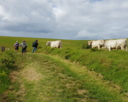 Walk: Loves Bay to Werri Beach