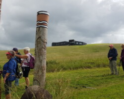 Walk: Loves Bay to Werri Beach