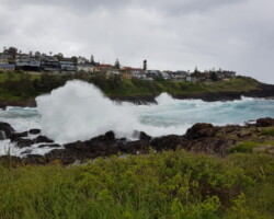 Walk: Loves Bay to Werri Beach
Saturday, 5 February 22