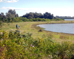 Hunter Wetlands