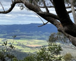 Walk: Promised Land Trail to Two View Points -5 May 2022
