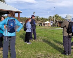 From Flagstaff Hill, via Belmore Basin and the Blue Mile, we'll walk through Stuart Park then Puckey's Estate to Fairy Meadow. Return via the university campus where we'll have a look at the few remaining Nissan Huts and stop for coffee
