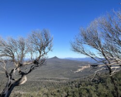Walk Morton NP – Little Forest Plateau 17 July 2022