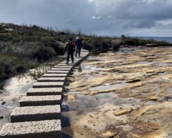 Beautiful walk through open forest & heathland with an abundance of flowering plants. Track joins up with the coastal track for a distance heading south before looping back to start.