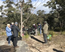 Gambell's Rest Picnic area to Echo Point, Mt Carnarvon, Bonnie View,Wishing Well.
, Gambell's Lookout, Sunrise point, Tooth's Lookout, back to Gambell's Rest. A mix of fire trail and bush tracks. Plenty of great views.