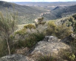 Gambell's Rest Picnic area to Echo Point, Mt Carnarvon, Bonnie View,Wishing Well.
, Gambell's Lookout, Sunrise point, Tooth's Lookout, back to Gambell's Rest. A mix of fire trail and bush tracks. Plenty of great views.