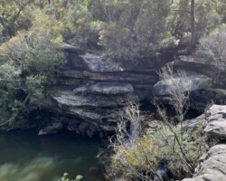 Walk: Heathcote NP Circuit
Sunday, 11 September