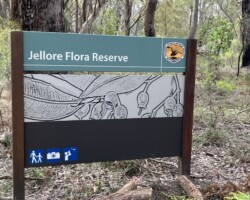 Walk Mt Jellore
Sunday, 30 October