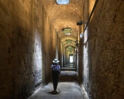 Walking from Milson's Point via luna park, Wendy Whiteley's garden and Coal Loader site and return from Wollstoncraft station.
Thanks Sue for providing some pics, I'll remember to put a memcard in my camera next time. SM