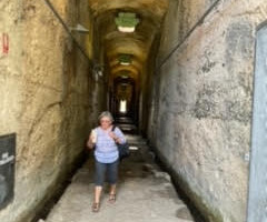 Walk: Milsons Pt to Balls Head SM