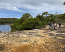 Walk: Maddens Plains - Sat 14 Jan 2022