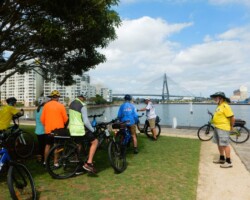 Anzac Bridge from Pirrama Park